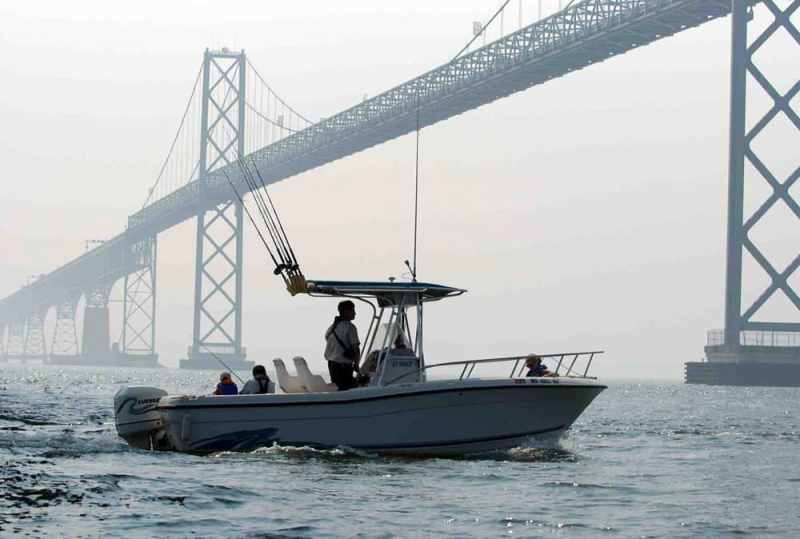 fisher angler boat