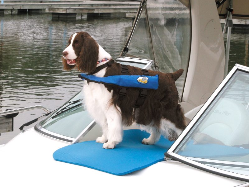 inflatable life jacket