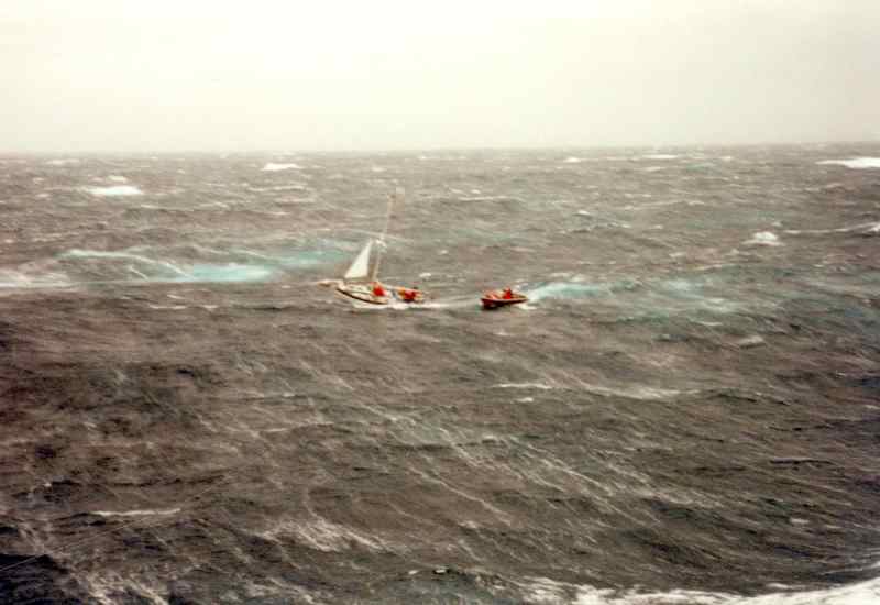 CGC TAMAROA